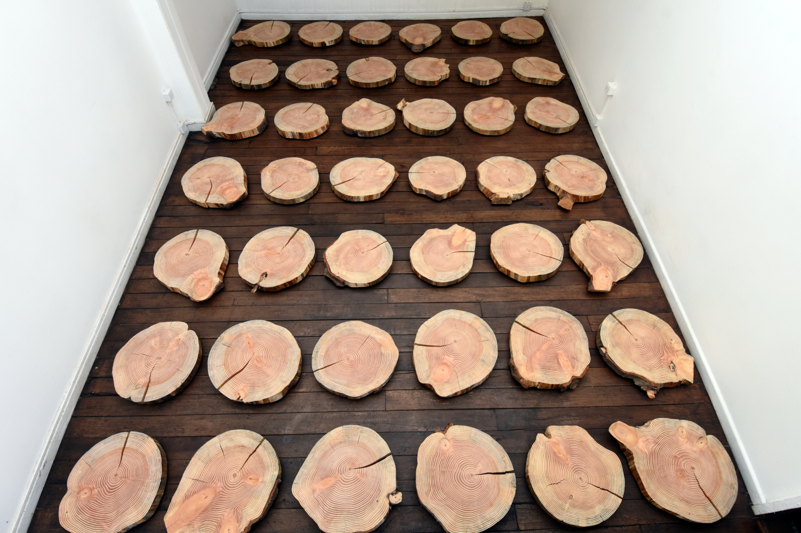 A FALTA DE NOMBRE SAGRADOS