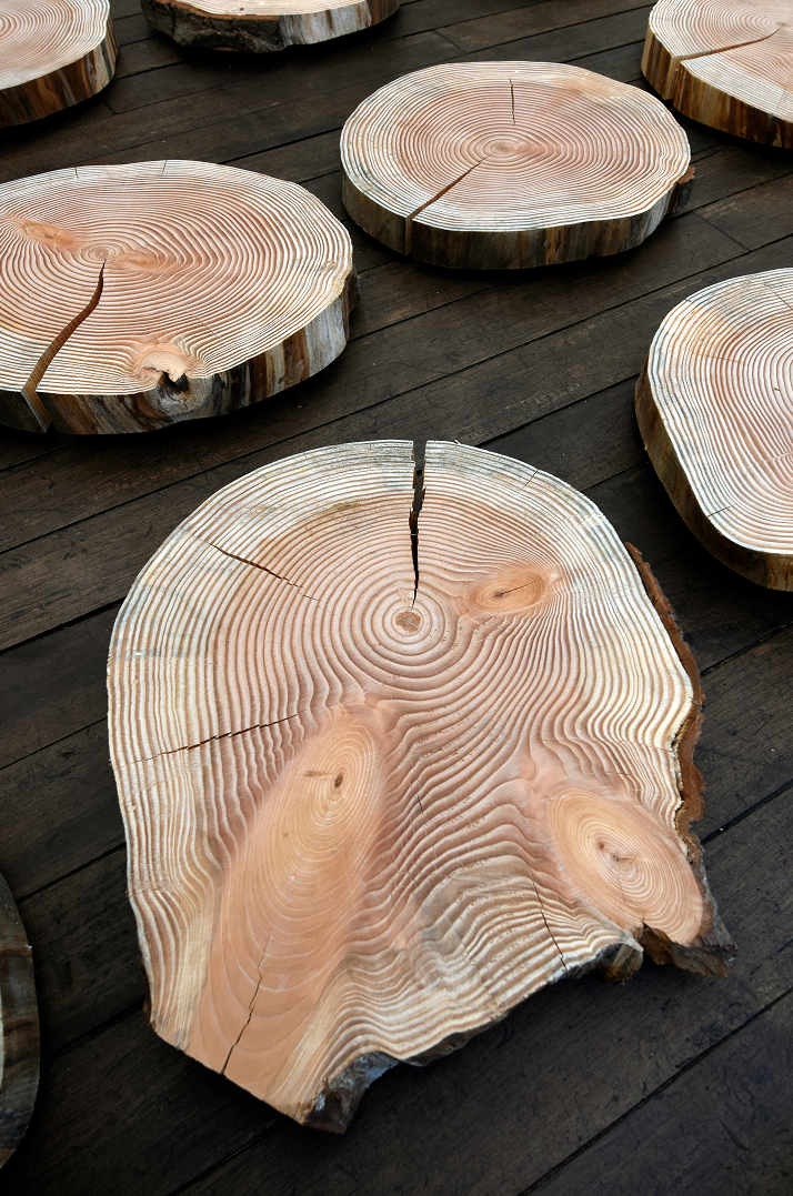 A FALTA DE NOMBRE SAGRADOS