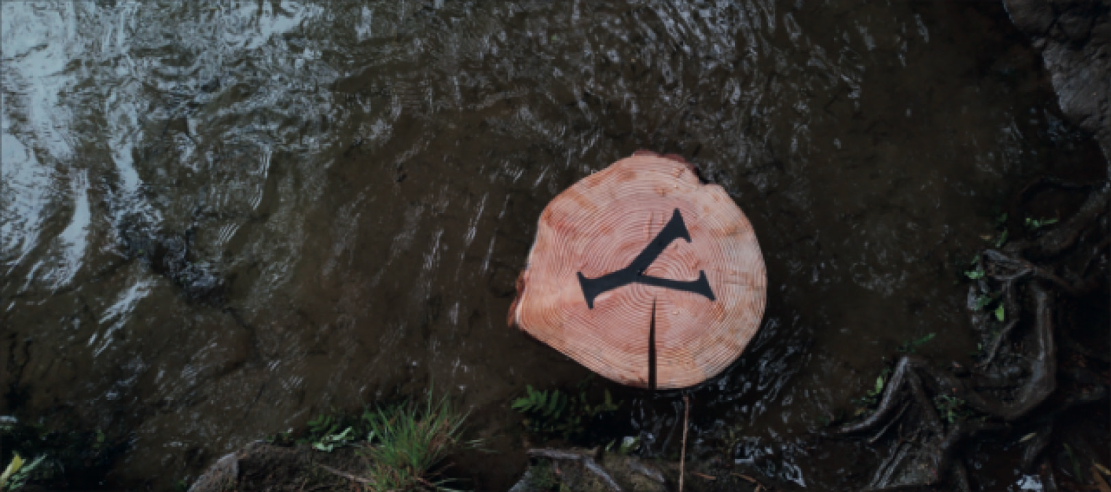 Y SIEMPRE NUESTROS MUERTOS HABITANDO EL DEVENIR