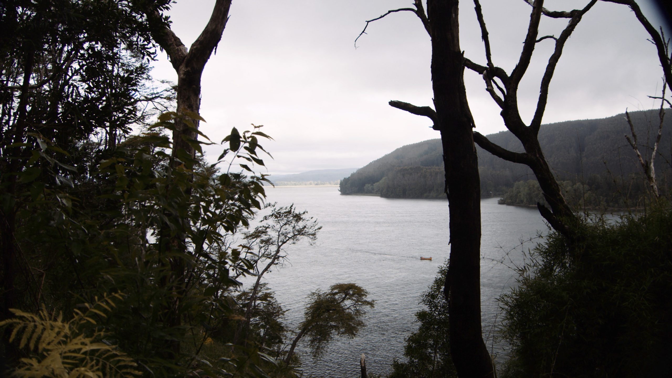 Y SIEMPRE NUESTROS MUERTOS HABITANDO EL DEVENIR