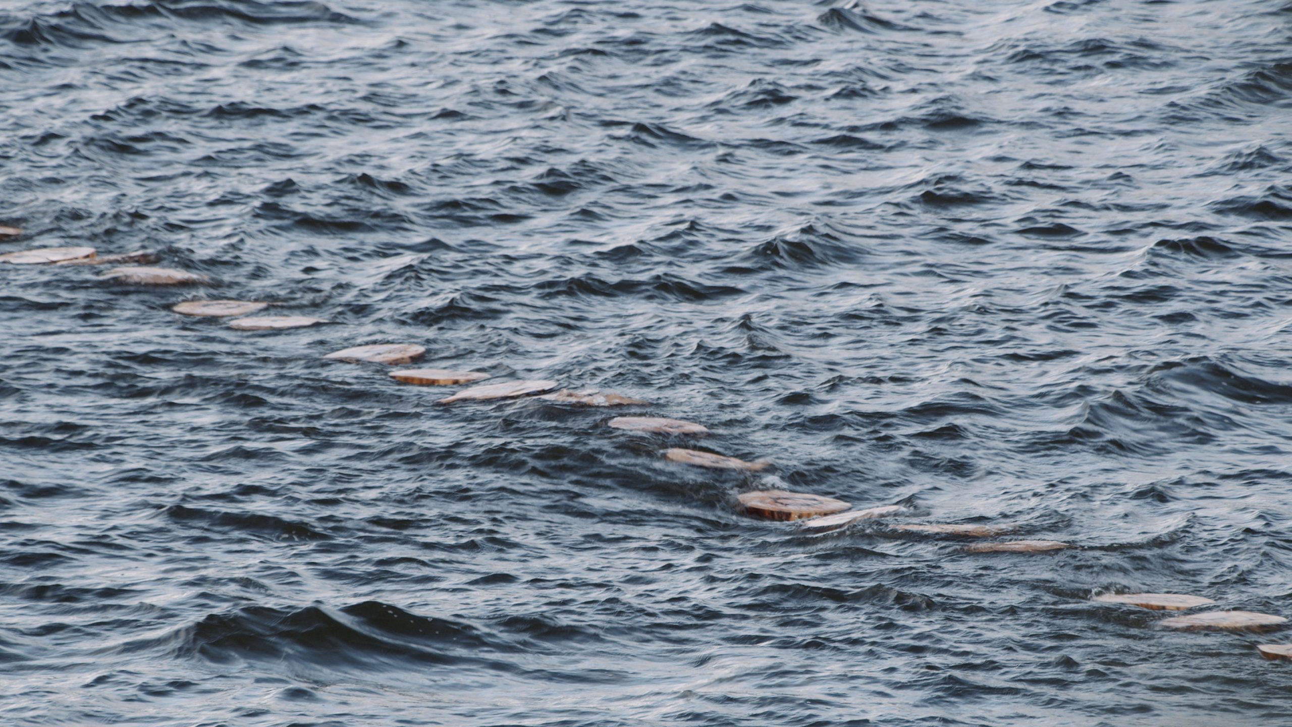 Y SIEMPRE NUESTROS MUERTOS HABITANDO EL DEVENIR